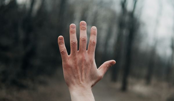 hand